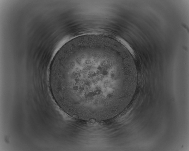 X0000093231099200709261647