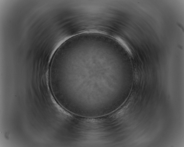 X0000093231100200709261647