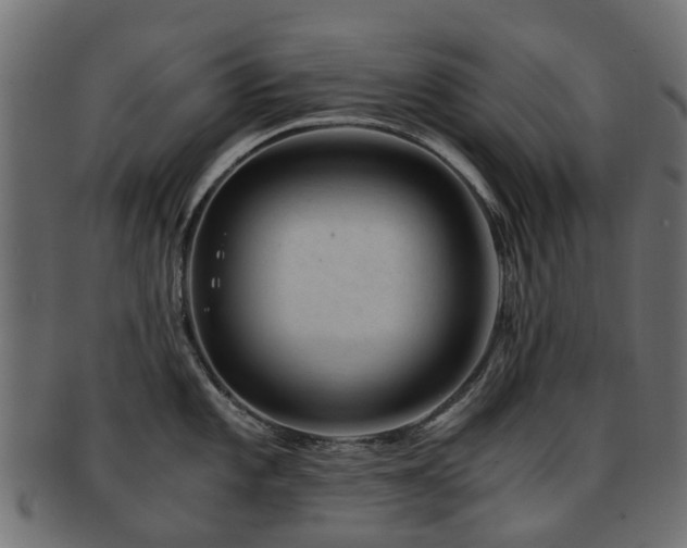 X0000093231101200709261647