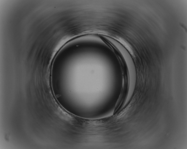 X0000093231102200709261647