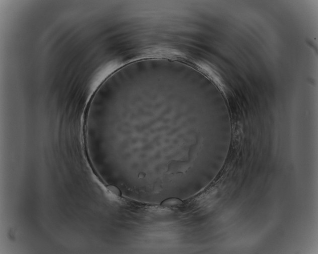 X0000093231103200709261647