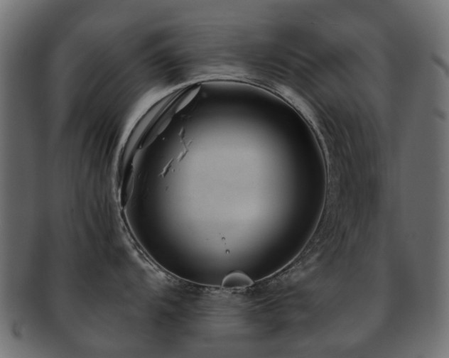 X0000093231104200709261647