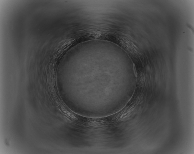 X0000093231105200709261646