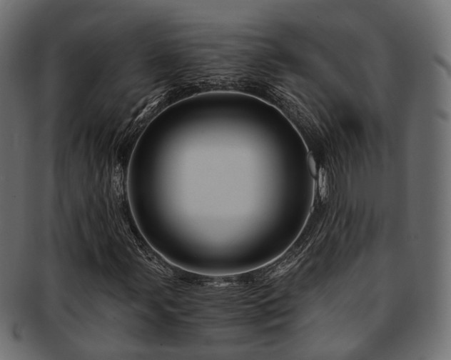 X0000093231107200709261646