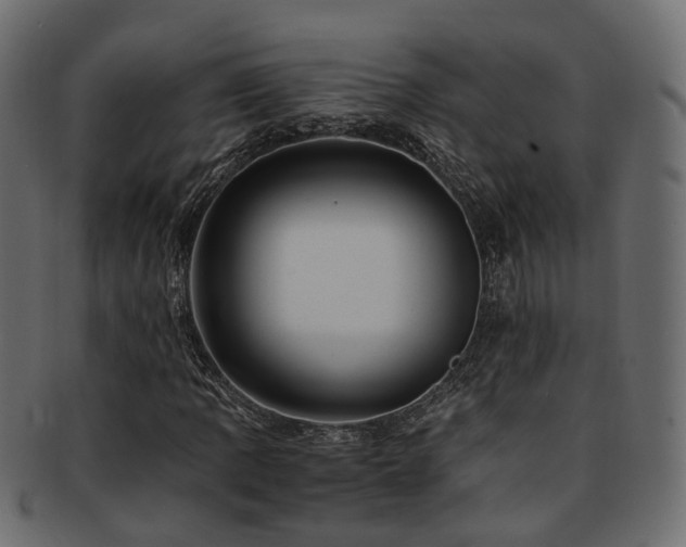 X0000093231109200709261646