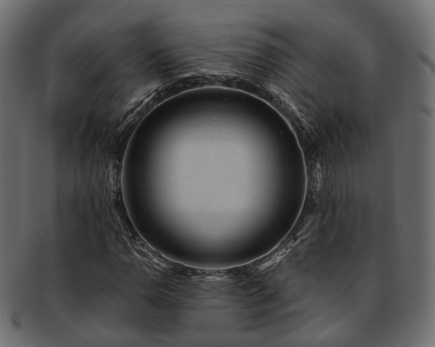 X0000093231110200709261646