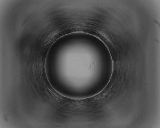 X0000093231111200709261646