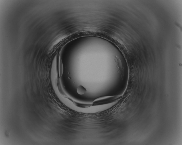 X0000093231112200709261646