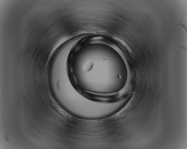 X0000093231114200709261646