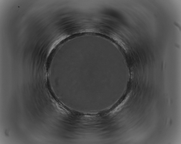 X0000093231117200709261646