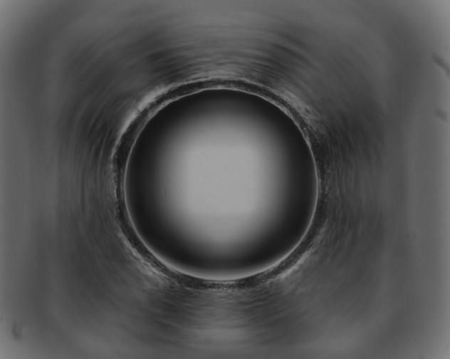 X0000093231118200709261646