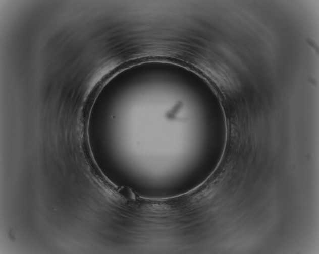 X0000093231119200709261646