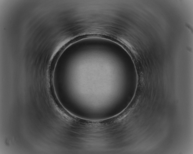 X0000093231120200709261646