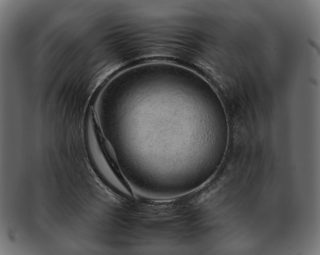 X0000093231121200709261646
