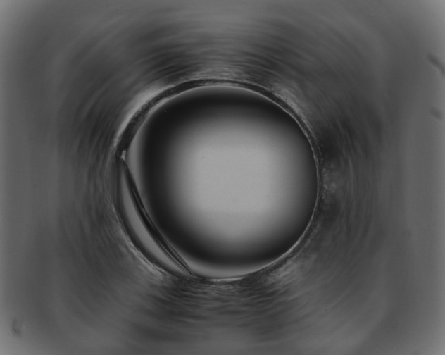 X0000093231123200709261646