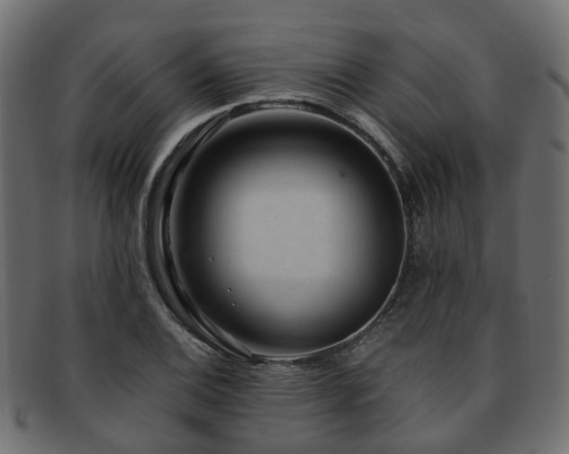 X0000093231124200709261647