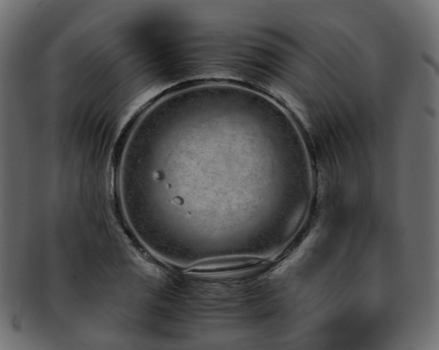 X0000093231125200709261647