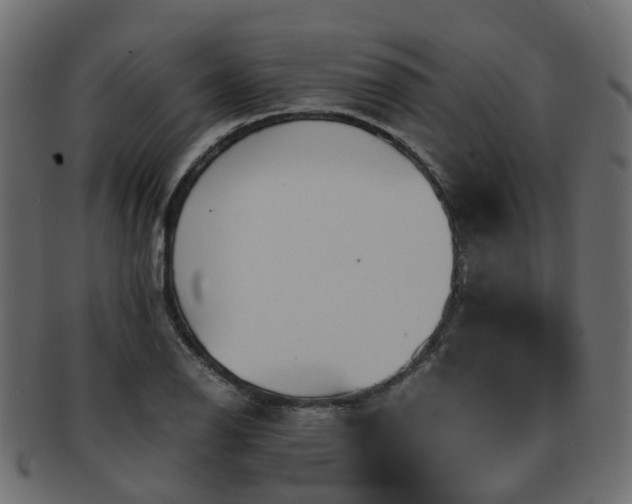 X0000093231126200709261647