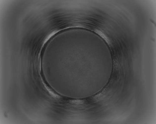 X0000093231127200709261647