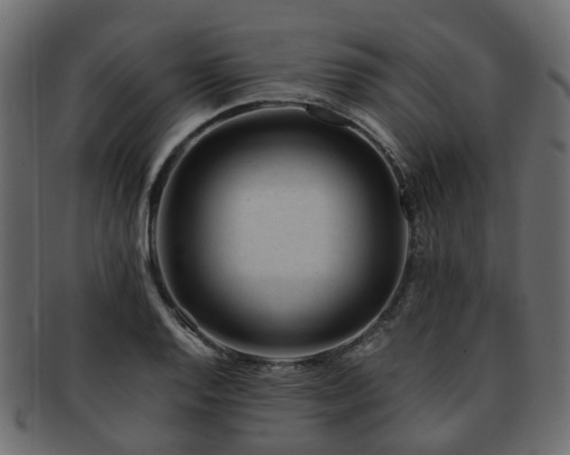 X0000093231128200709261647