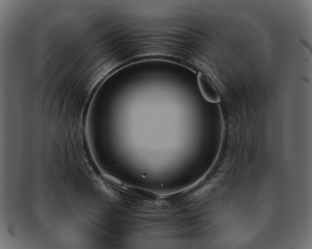 X0000093231129200709261647