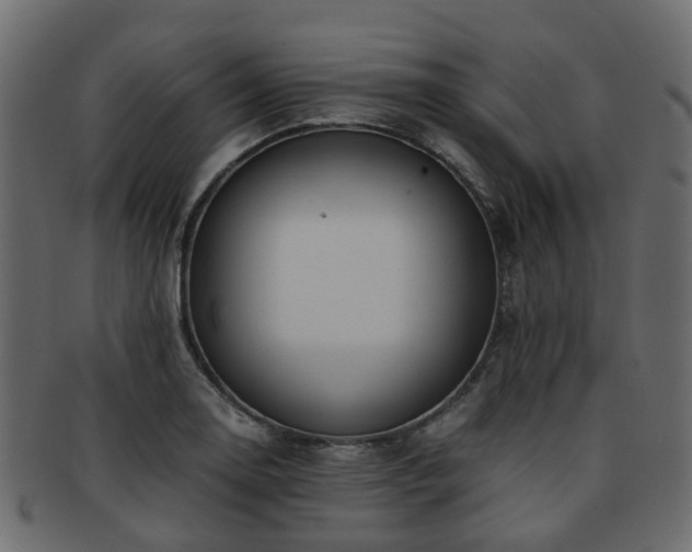 X0000093231130200709261647