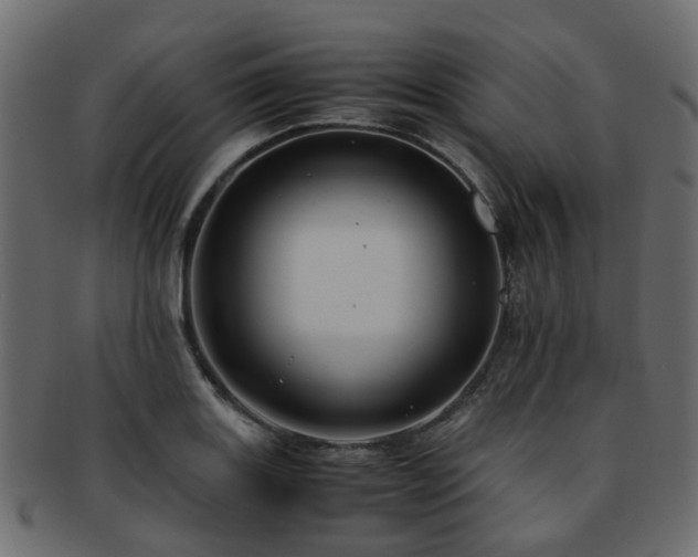 X0000093231131200709261647
