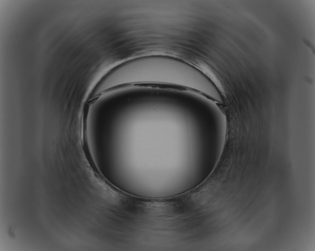 X0000093231132200709261647