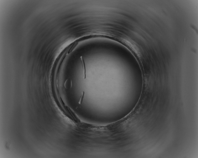 X0000093231133200709261647