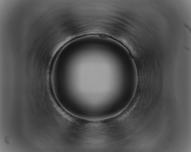 X0000093231134200709261647