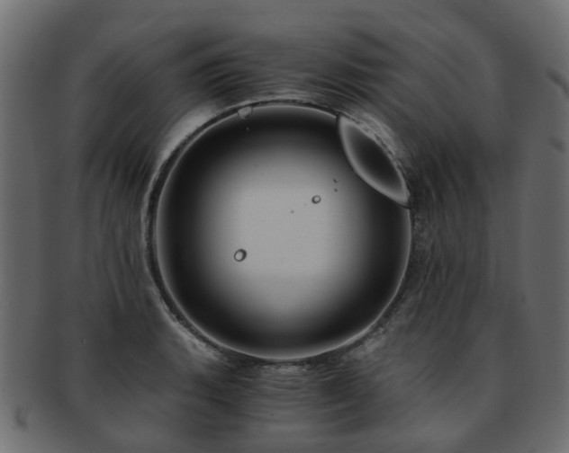 X0000093231135200709261647