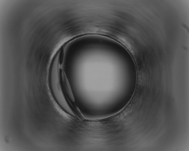 X0000093231136200709261647