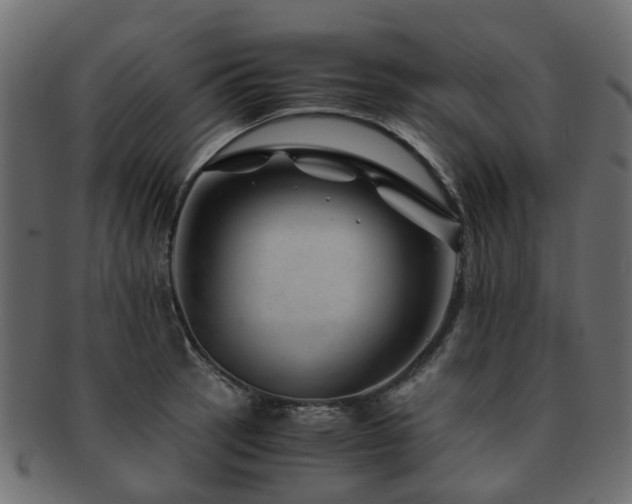 X0000093231137200709261647