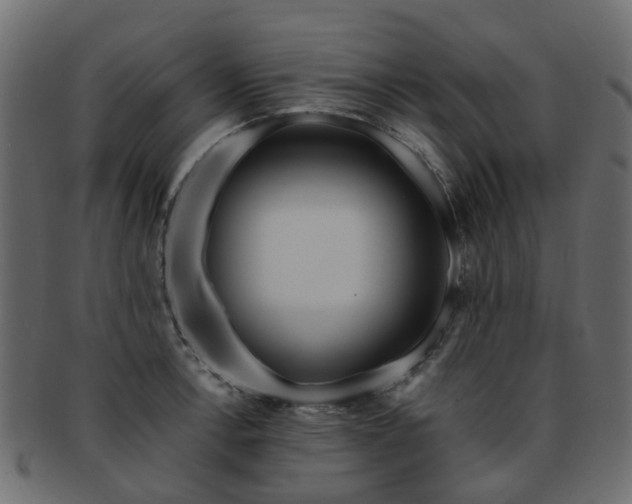 X0000093231138200709261647