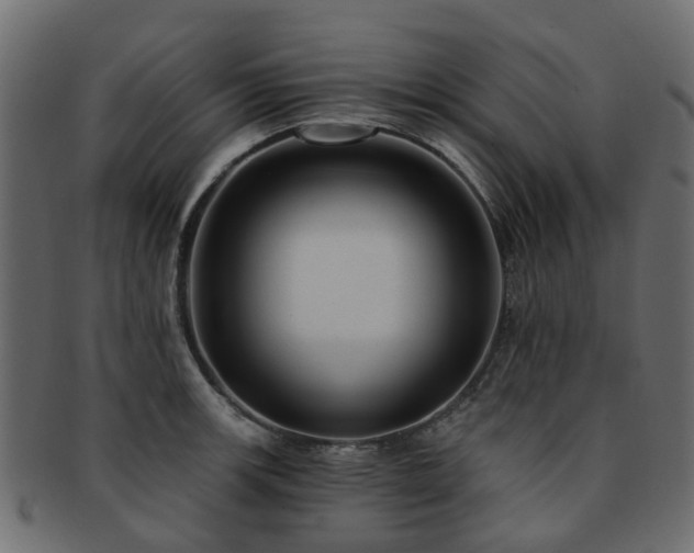 X0000093231139200709261647