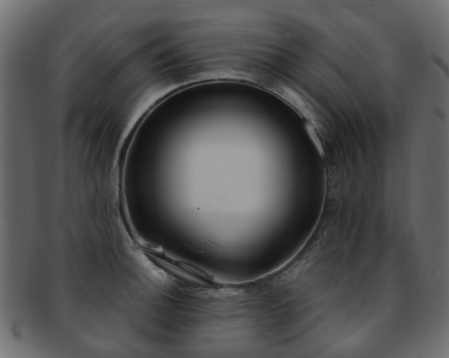 X0000093231140200709261647