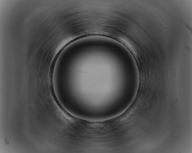 X0000093231141200709261647