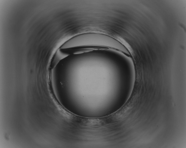 X0000093231144200709261647