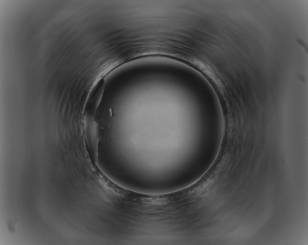 X0000093231145200709261647