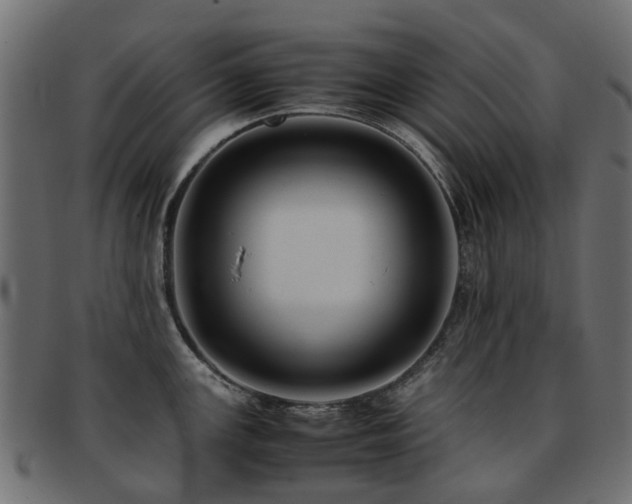 X0000093231147200709261647