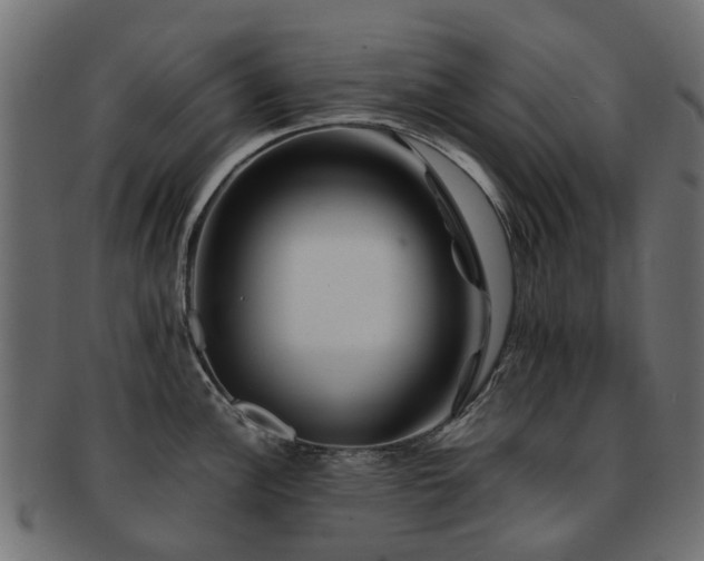 X0000093231148200709261647
