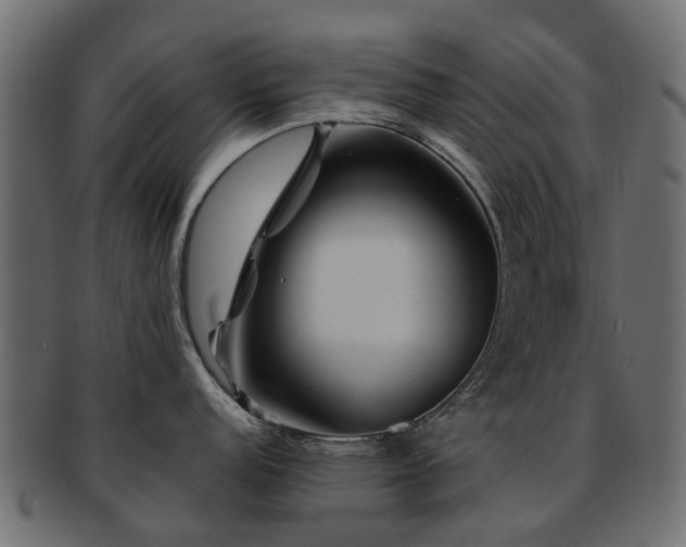 X0000093231152200709261647