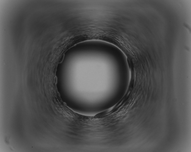 X0000093231153200709261646