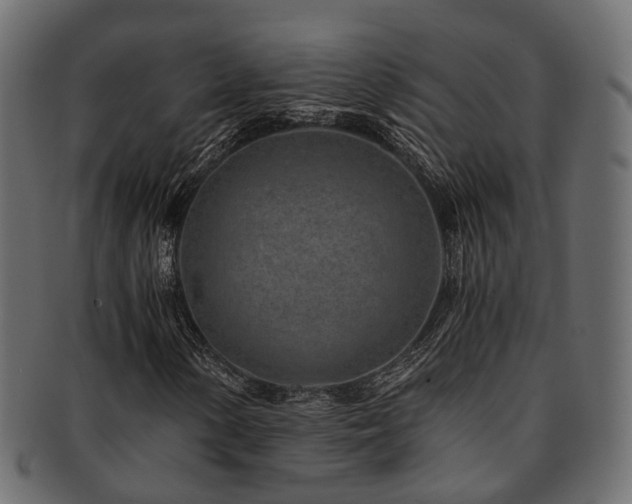 X0000093231154200709261646