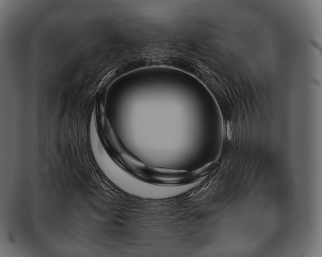 X0000093231155200709261646