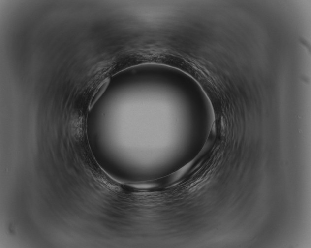 X0000093231156200709261646