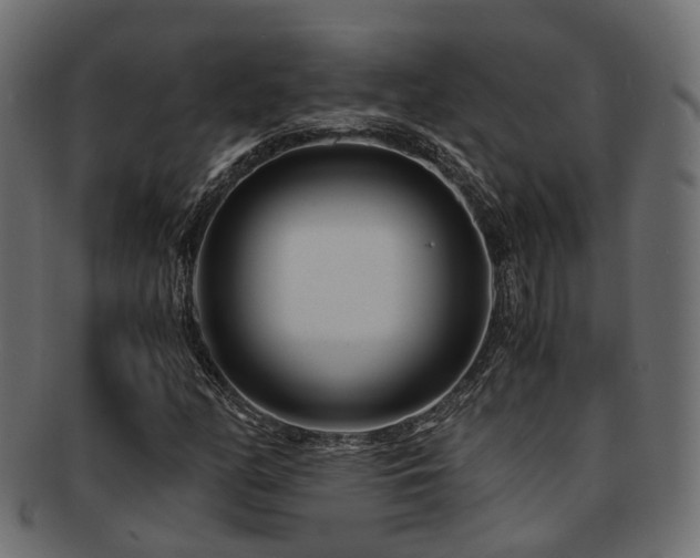 X0000093231158200709261646