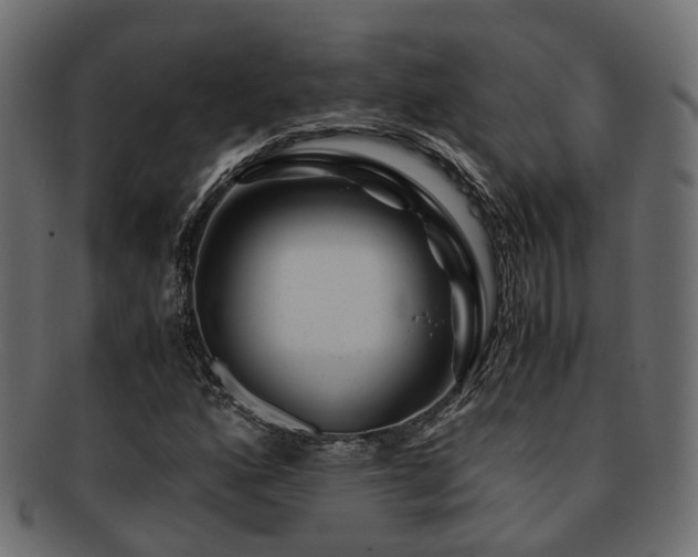 X0000093231160200709261646
