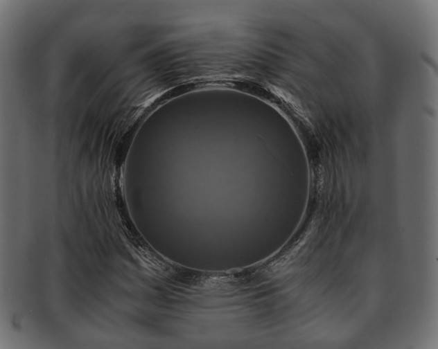 X0000093231161200709261646