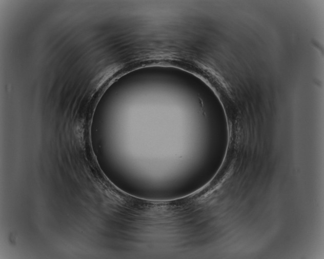 X0000093231162200709261646